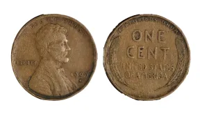 Coins: What Every New Numismatist Needs to Know