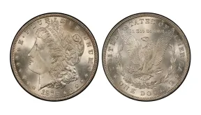 Morgan & Peace Silver Dollars: Complete Collector’s Value Guide
