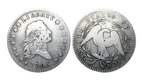1795 Silver Dollar Value Guide – History, Types & Pricing Chart
