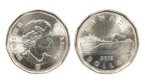 Loonie – Weight, Value, and Collector Insights