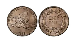1858 Penny Value: Flying Eagle and Indian Head Guide