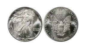 American Silver Eagle: Die bekannteste Silbermünze der USA
