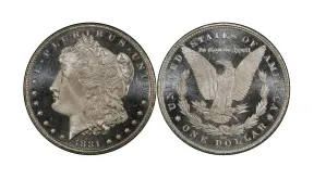 Two Centuries Away: The 1881 Silver Dollar and Its Worth