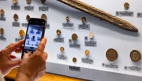 Collecting 2.0: How Technology Made Numismatics Accessible to Everyone