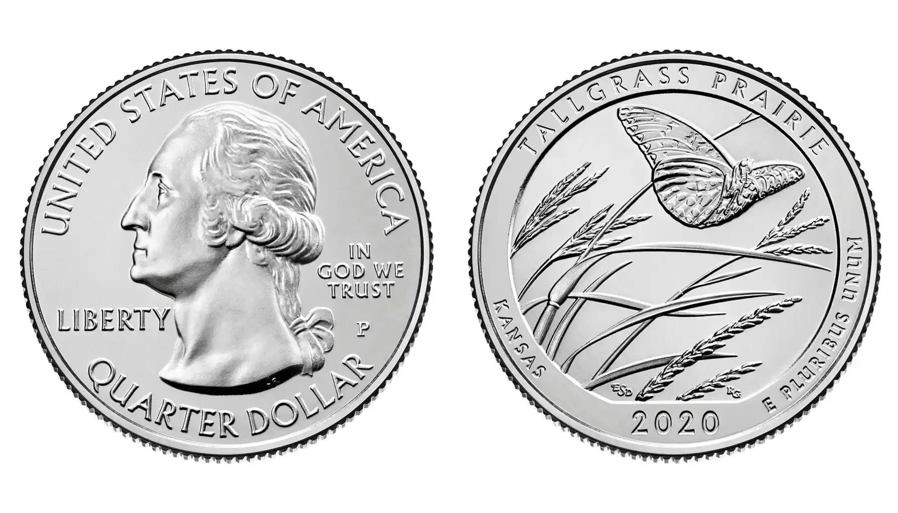 picture of the 2020 Tallgrass Prairie Quarter, featuring a skyward view of a Regal Fritillary butterfly, set against a backdrop of Big Bluestem and Indian grasses, showcasing the beauty of the Tallgrass Prairie National Preserve.