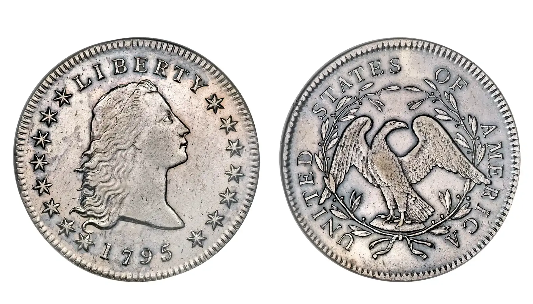 A picture of the 1795 Flowing Hair Silver Dollar, featuring Lady Liberty with long flowing hair on the obverse and an eagle surrounded by a wreath on the reverse.