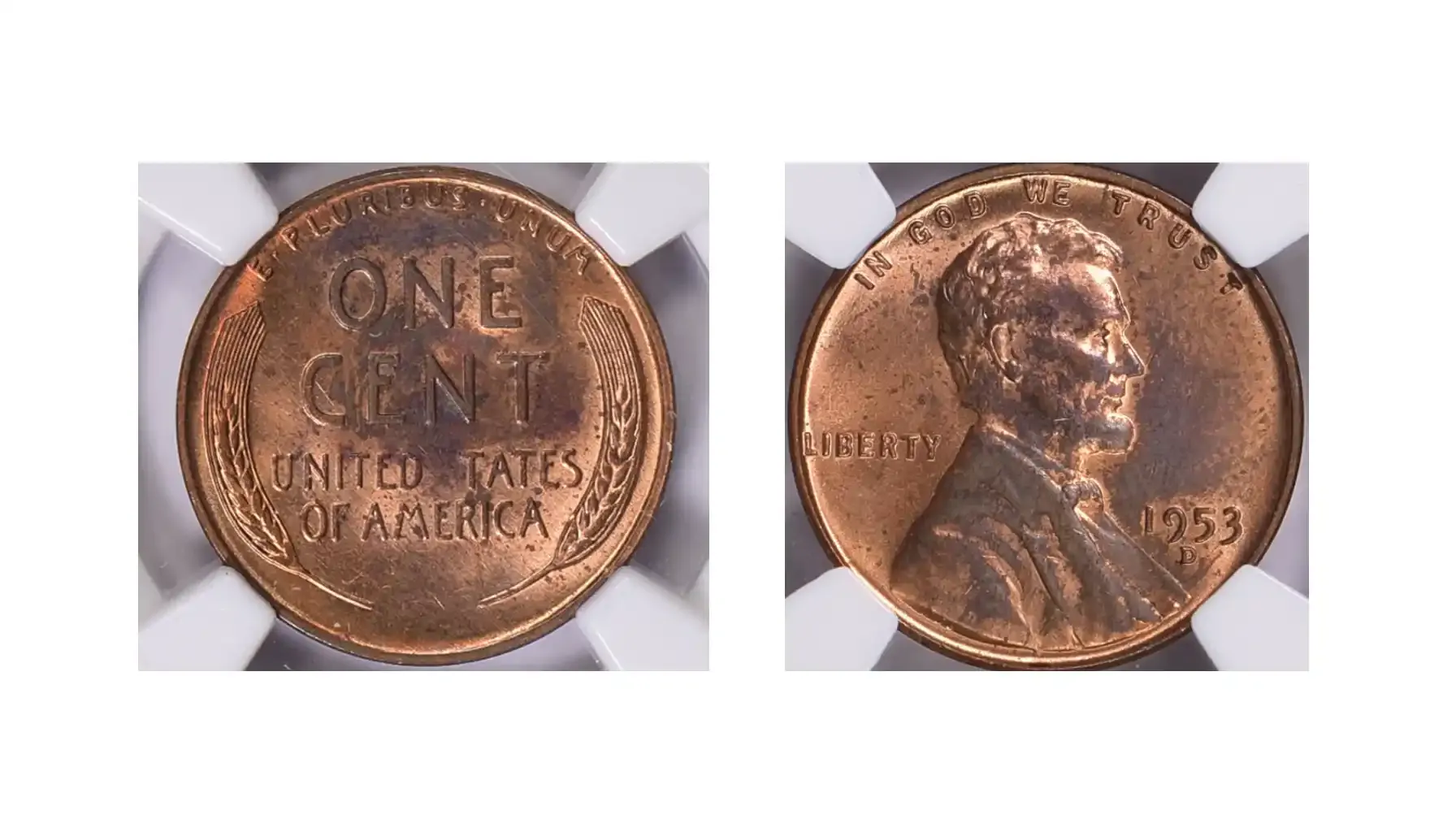 A picture of a 1953-D Lincoln Cent with a reverse struck-through error, showing a partially missing design.