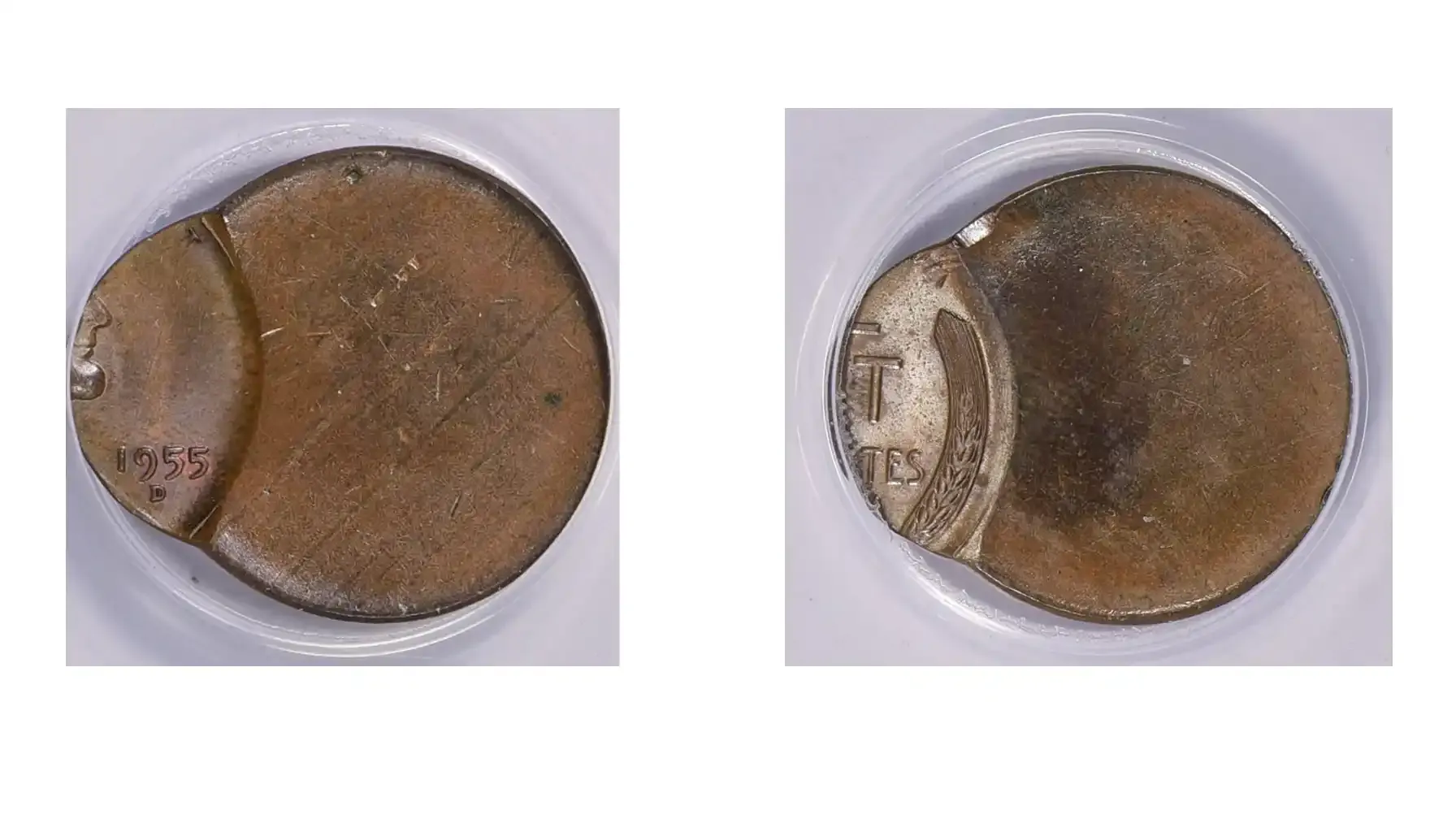 A picture of a 1955-D Lincoln Cent struck 85% off-center at 9:00, with most of the design missing and a large blank area on one side of the coin.