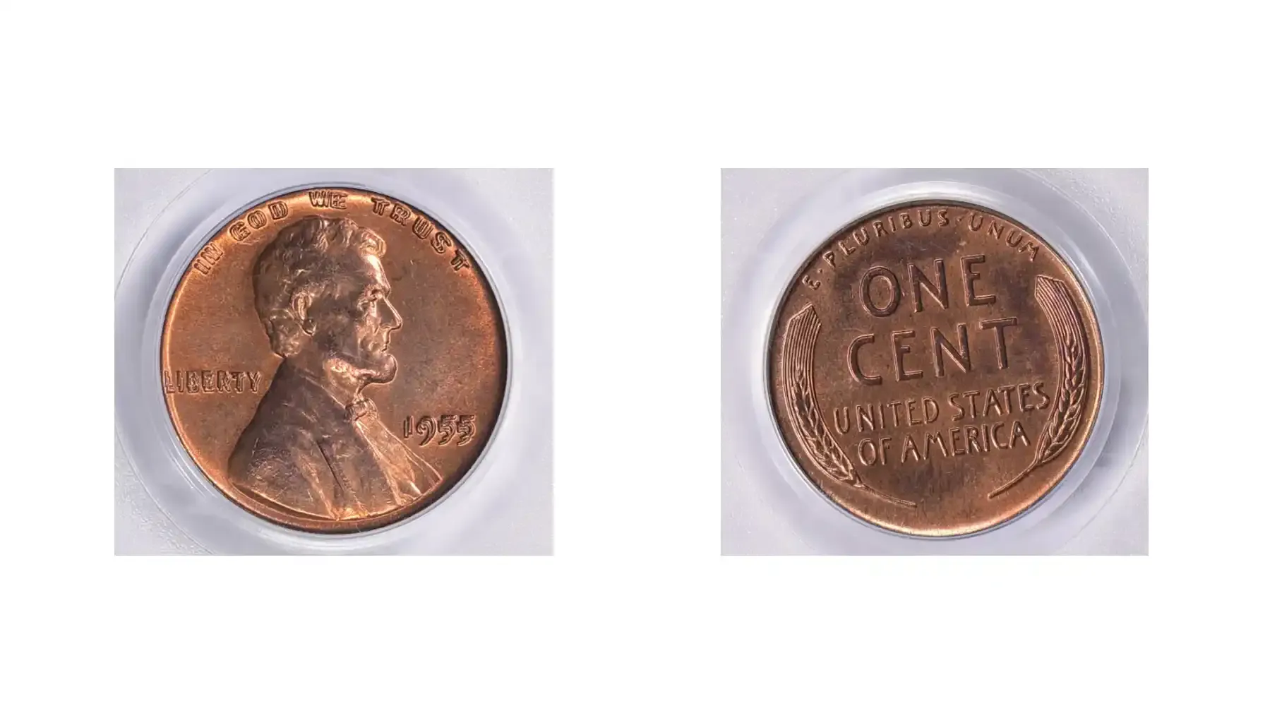 A picture of a 1955 Lincoln Cent with a doubled die obverse, showing clear doubling.