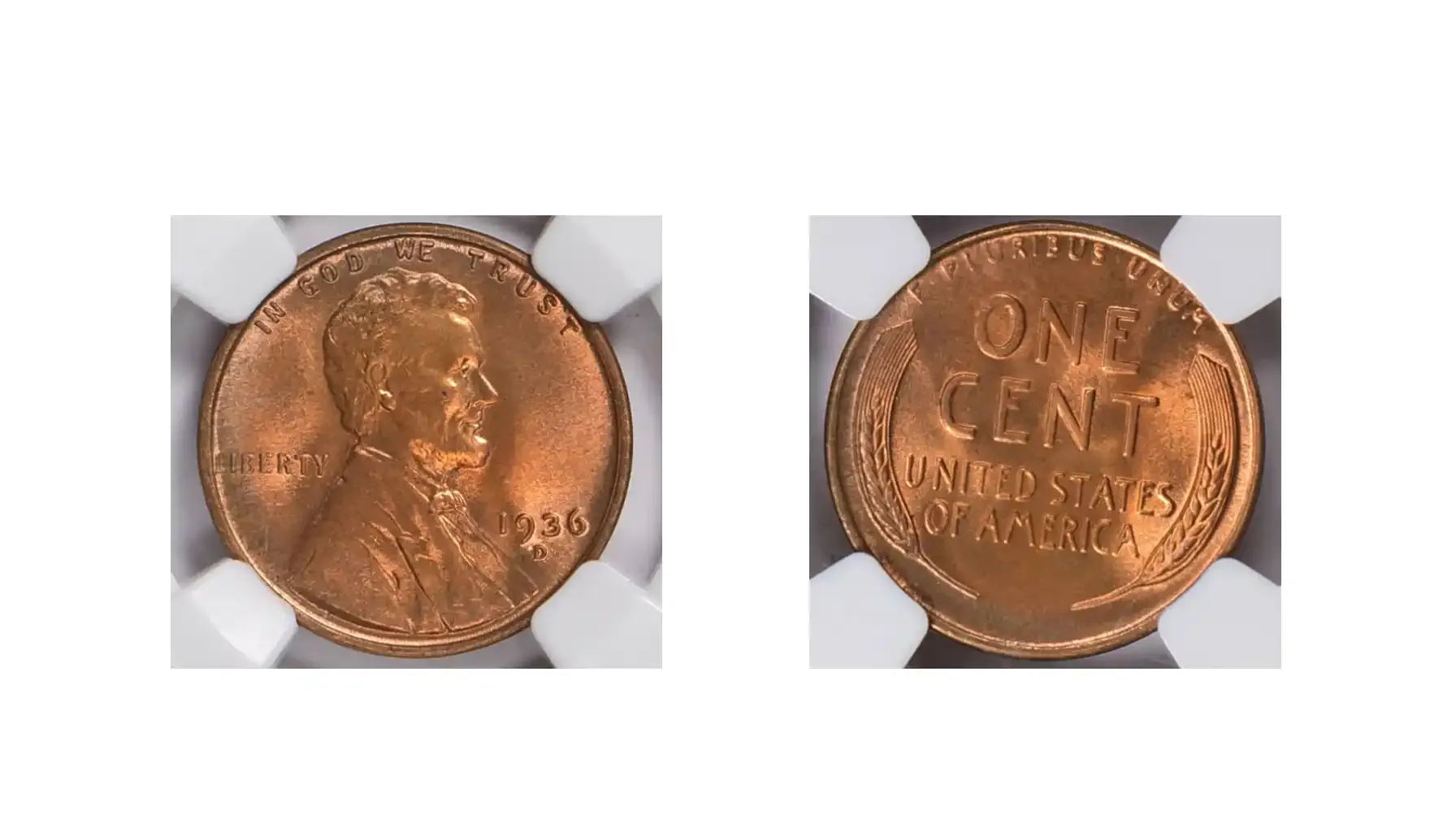 A picture of a 1936-D Lincoln Cent, featuring the classic obverse portrait of Abraham Lincoln and the reverse wheat ears design, with a "D" mintmark beneath the date.