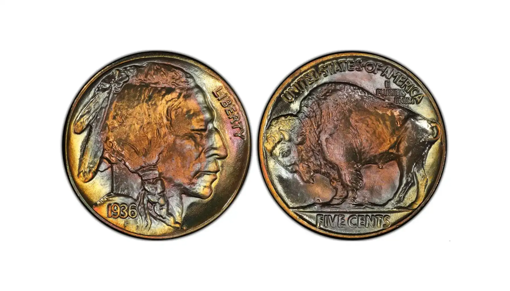 A picture of a 1936 Buffalo Nickel regular strike, featuring a Native American chief on the obverse and an American bison on the reverse.