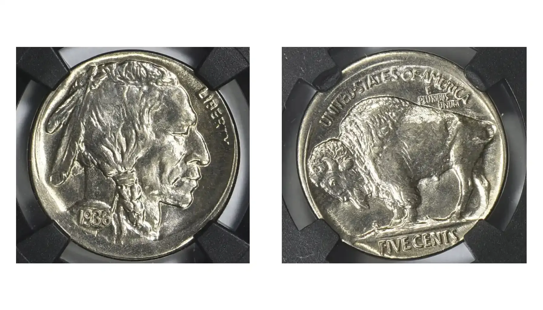 Rare Varieties of the 1936 Buffalo Nickel: History and Value