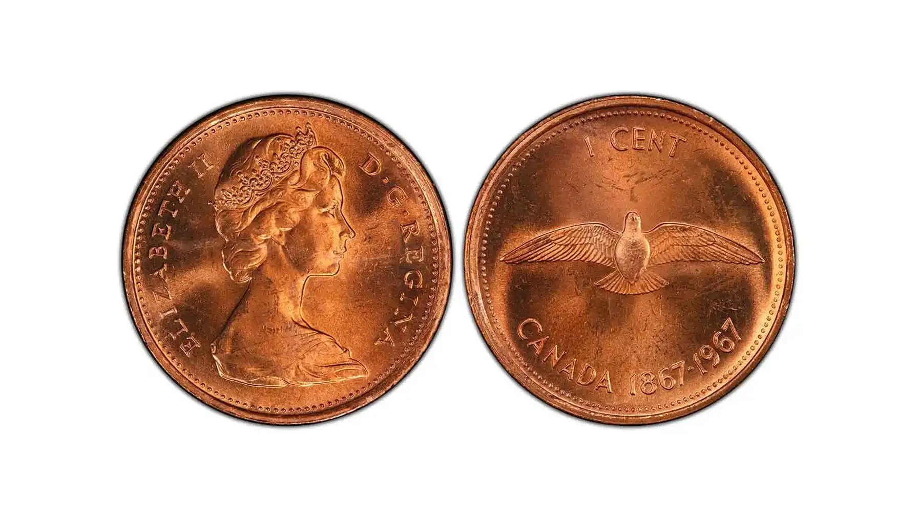 A picture of the Canada 1967 Doubled Die Obverse Cent, featuring Queen Elizabeth II’s portrait with a noticeable doubling on the obverse and a rock dove design on the reverse.