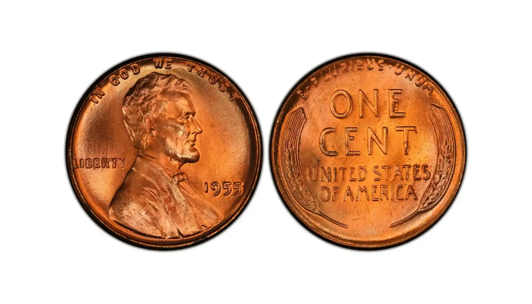 Hidden In-Between: The Real Value of the 1955 Wheat Penny