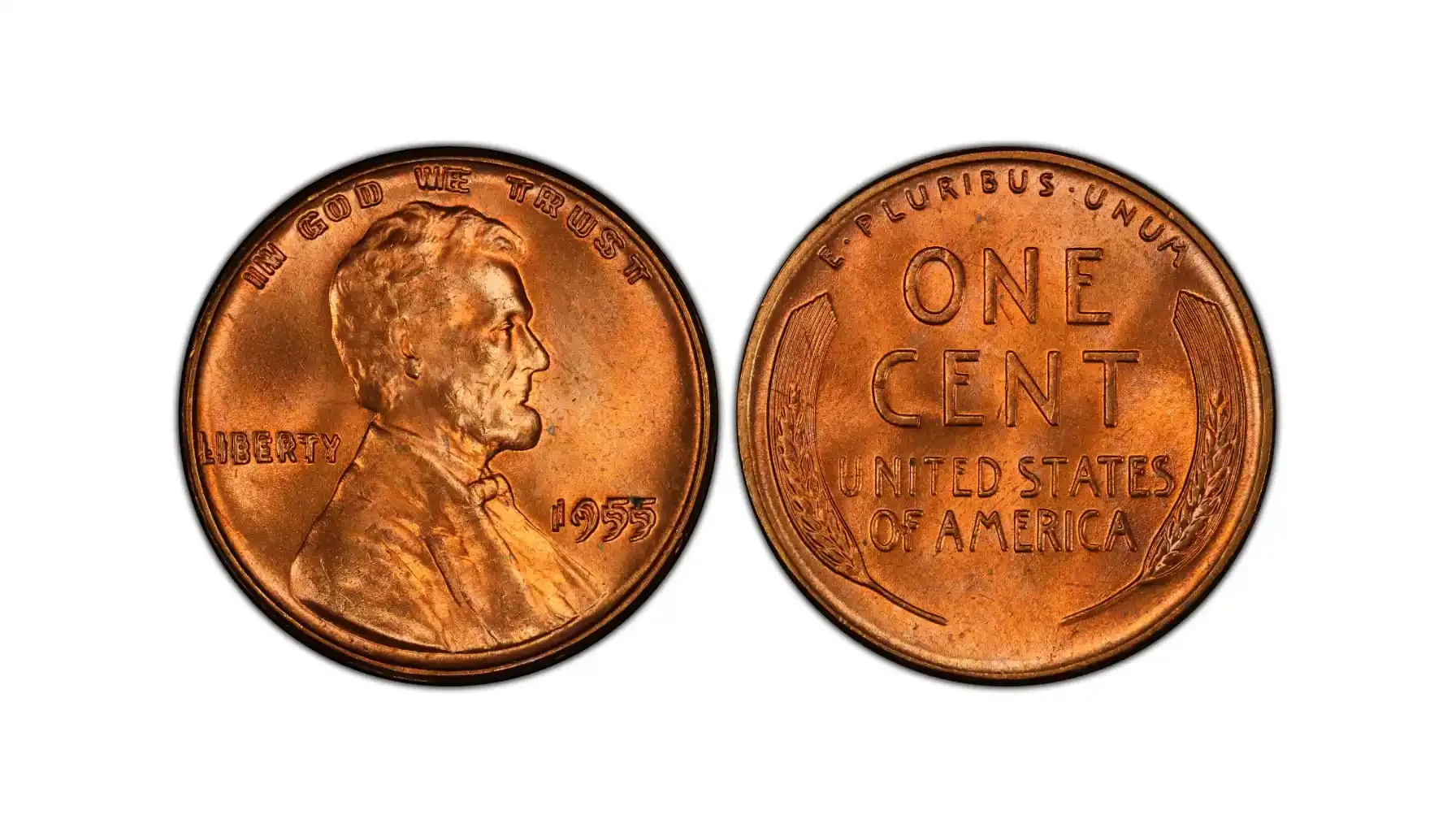 A picture of a 1955 Lincoln wheat penny with a Doubled Die Obverse in red, highlighting the distinct doubling on the date and inscriptions.