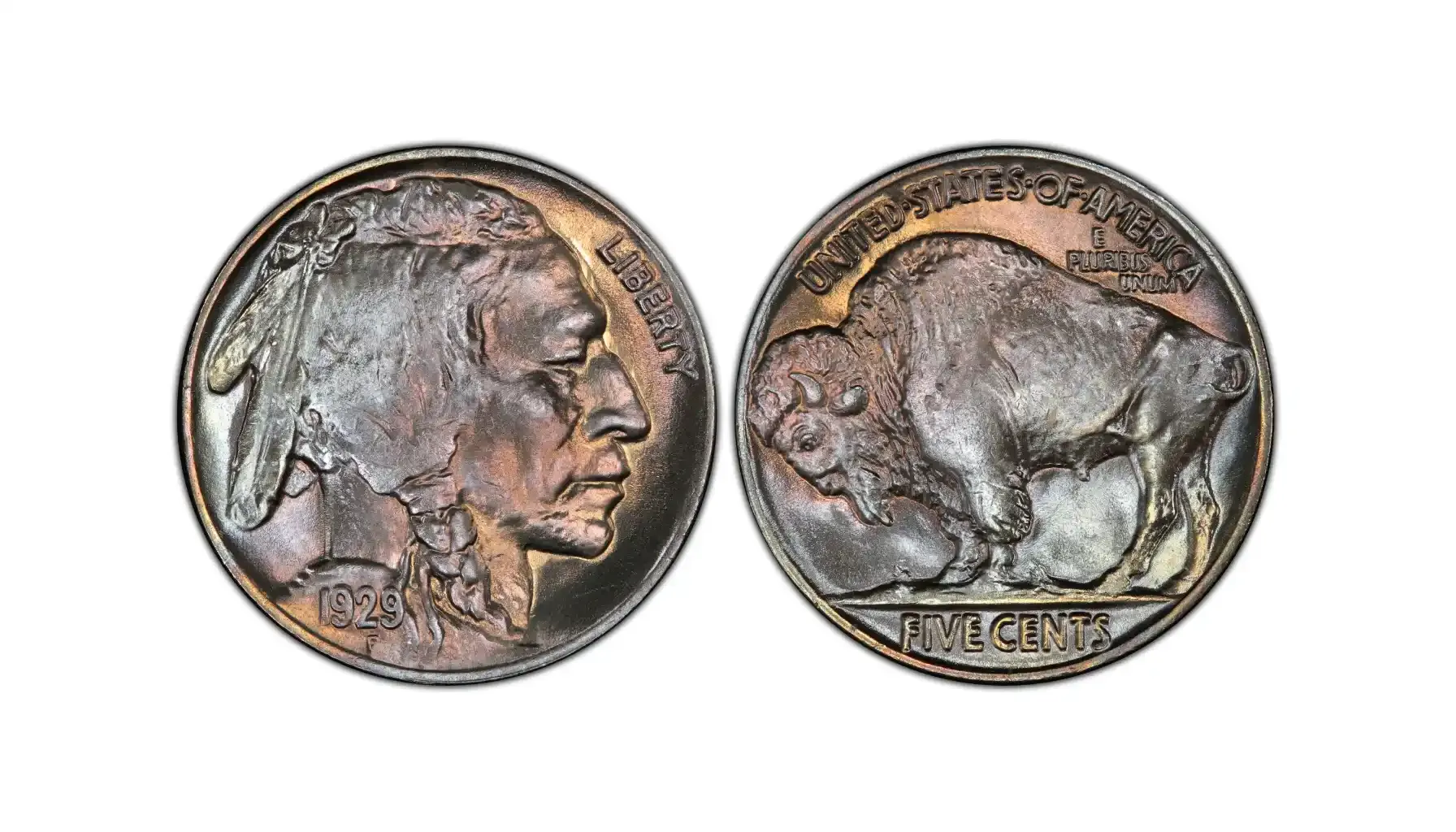 A picture of a 1929 Buffalo Nickel showing the obverse with a Native American portrait and reverse featuring a bison.