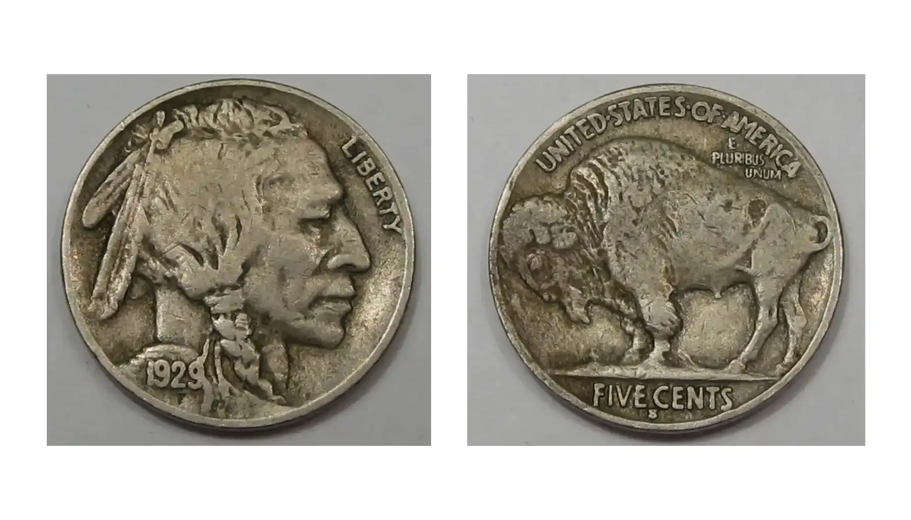 Is Your 1929 Buffalo Nickel Rare? Find Out Its True Worth