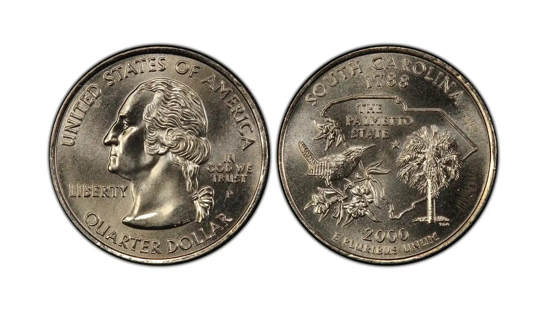 A picture of the 2000-P South Carolina quarter featuring the state outline, state tree (palmetto), bird (Carolina wren), and flower (yellow jessamine).