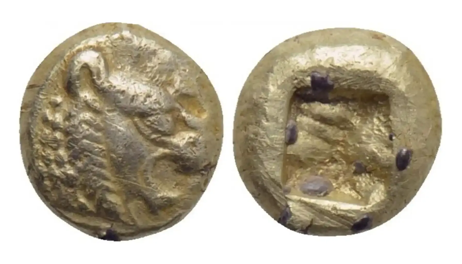 a standart Lydian Lion coin called 1⁄24 Stater - Alyattes II