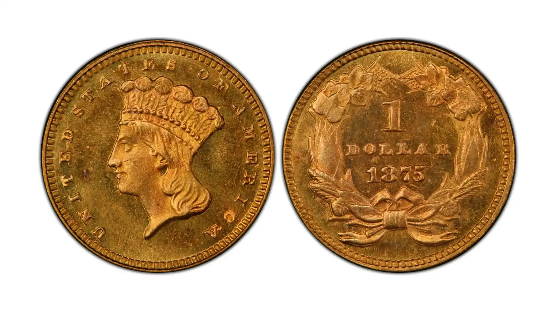 A picture of an 1875 Gold Dollar (G$1), showcasing its detailed design, including the date and classic motifs of the era.