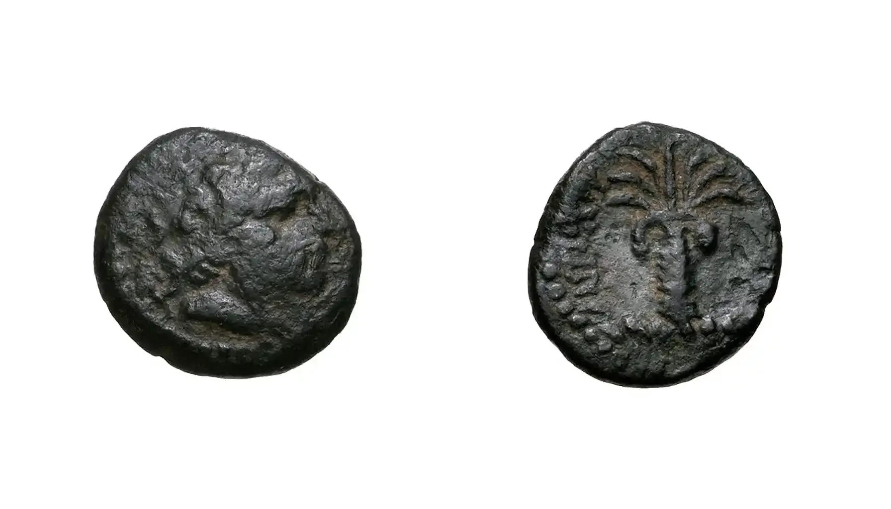 A picture of the Drachm of Antiochus III from the Seleucid Empire, featuring a diademed portrait of the king on the obverse and a palm tree with hanging dates on the reverse