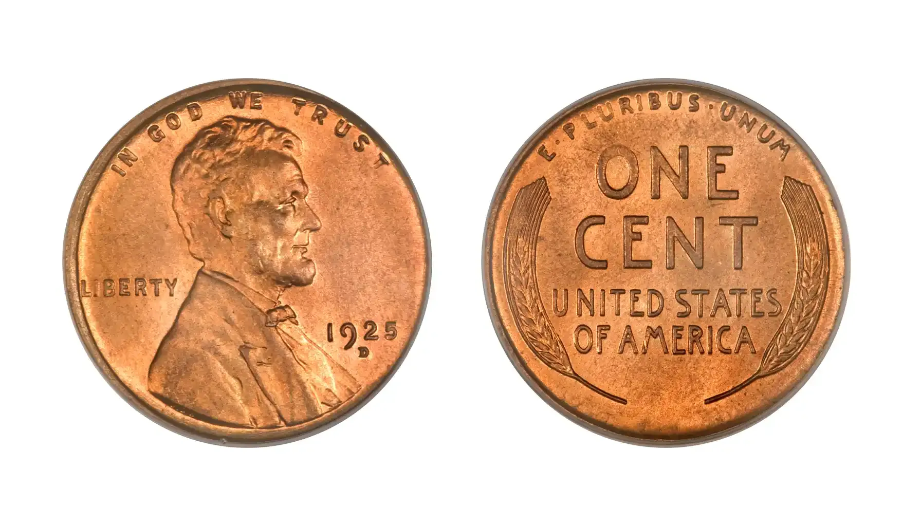 obverse and reverse of a standard Wheat penny