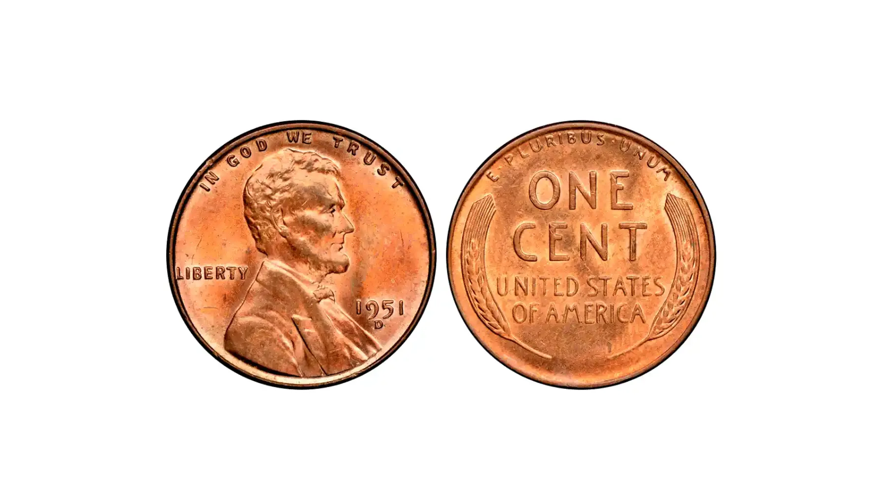 obverse and reverse of a 1951 D Wheat penny